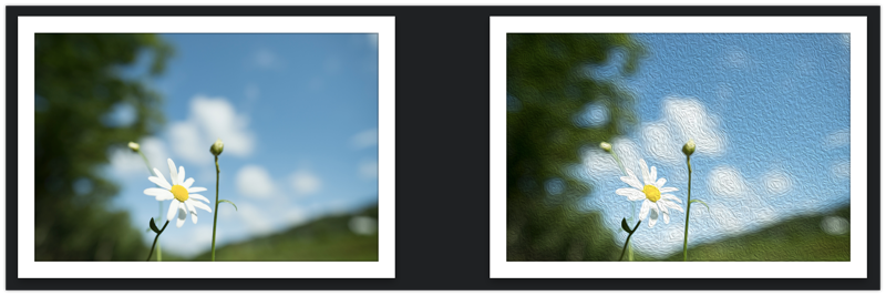 左が元の画像ファイル、右が油彩フィルター後に jpg 書き出したもの